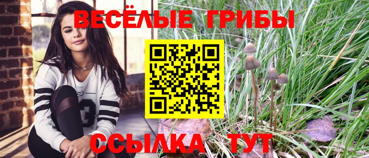 Галлюциногенные грибы ЛСД Чита