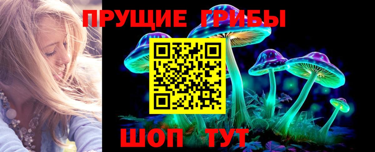 Галлюциногенные грибы GOLDEN TEACHER  Вход с VPN  Чита  Галлюциногенные грибы Cubensis 